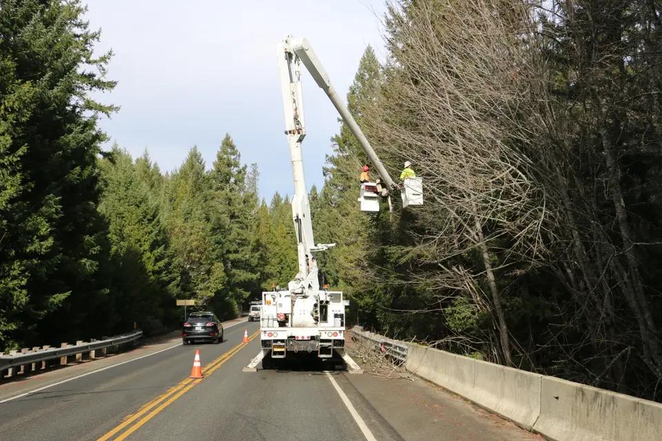 Bucket truck crew trimming a roadside tree