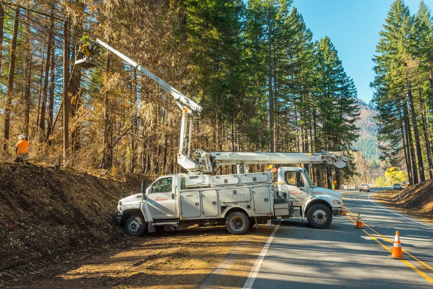 Tree crew coordinating a removal near overhead utility lines