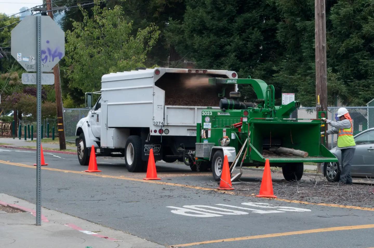 A crew member feeding branches into a wood chipper on a job site