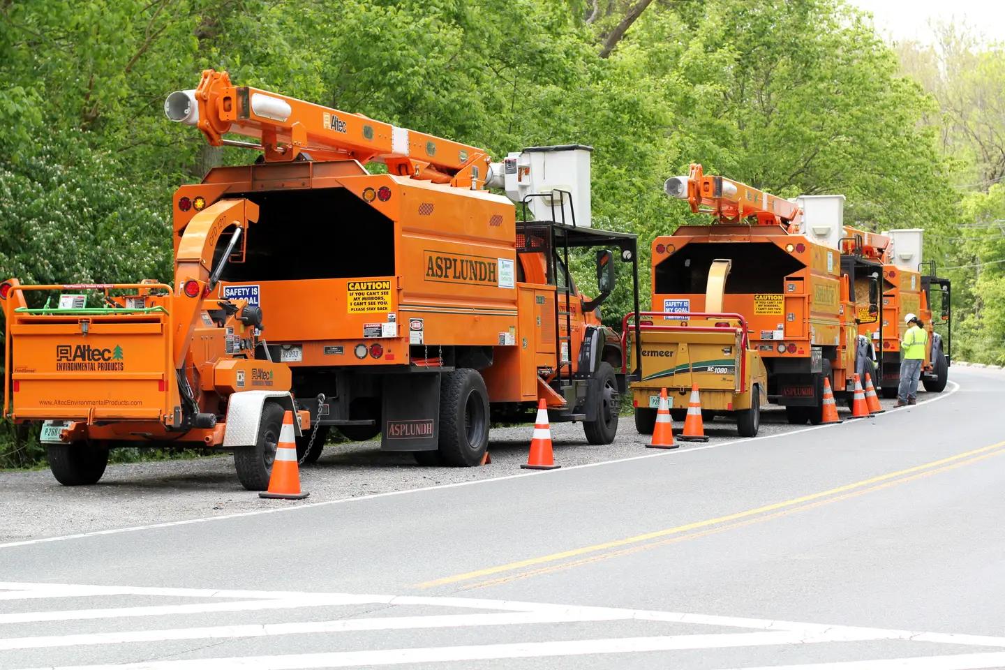 Tree service trucks lined up and ready to dispatch to job sites